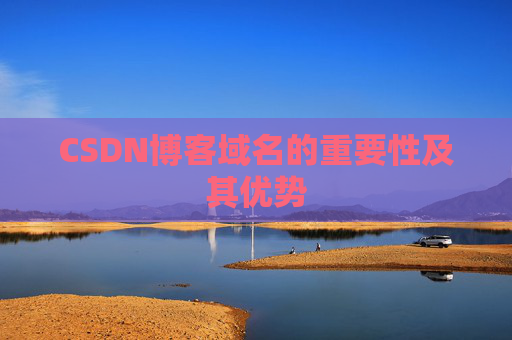 CSDN博客域名的重要性及其优势
